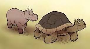 Kids Hippos and the Tortoise